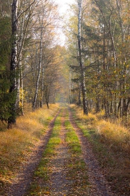 the way forward yung pueblo pdf free download the way forward yung pueblo pdf free download