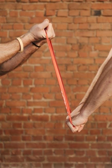 resistance bands exercises for beginners pdf resistance bands exercises for beginners pdf
