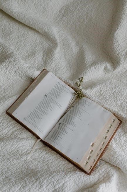 bible study about faith pdf bible study about faith pdf