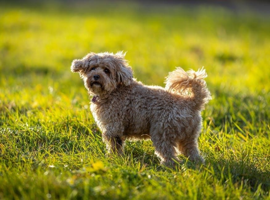 custer died for your sins pdf custer died for your sins pdf